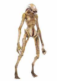 Amazon.com: Hiya Toys Alien Resurrection: The Newborn 1:18 Scale Figure,  Multicolor : Toys & Games