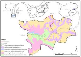 Image result for Schistostephium crataegifolium