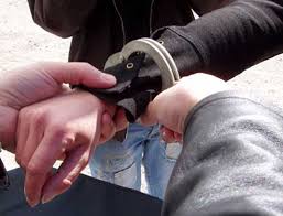 Avand in vedere ca falsul si uzul de fals inca nu au fost nu au fost inca dezincriminate, personal astept ca procurorii sa puna laba pe penal (scuze cncd). Zece CovÄƒsneni ReÅ£inuÅ£i Pentru InselÄƒciune Fals Intelectual Si Uz De Fals We Radio Sfantu Gheorghe