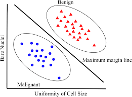 Image result for supervised machine learning cancer prediction