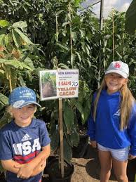Mimosa Nursery 6270 Allston St Los Angeles Ca Nurseries Plants Trees Etc Wholesale Mapquest