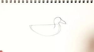 Nah, itulah kumpulan sketsa gambar kelinci. 5 Cara Untuk Menggambar Bebek Wikihow