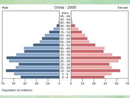 Our team is anaylyzing about health, population, climate change, travel and lot more about afghanistan. China Population Pyramid Google Search