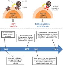 Background ccr5 is the major coreceptor for human immunodeficiency virus (hiv). Beyond Hiv Infection Neglected And Varied Impacts Of Ccr5 And Ccr5d32 On Viral Diseases Abstract Europe Pmc