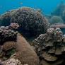 BNP Paribas Leads Sustainable Blue Economy Financing with Innovative Blue Bonds
