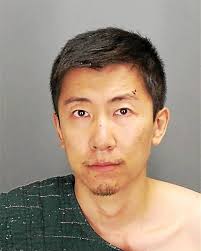 Rochester Hills man charged in hammer killing of cat