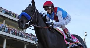 Trained by bob baffert, who picked up his seventh kentucky derby win as a trainer, medina spirit held off. Dzugb7dz8fgqvm