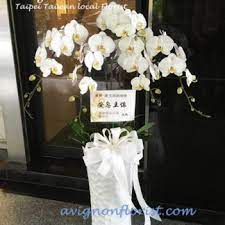We did not find results for: Condolence Orchid äºžç¶­å„‚èŠ±è—è¨­è¨ˆavignon Florist Taipei Flower Delivery Send Flowers To Taiwan