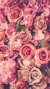 Pin By Blog Pistache On Posters E Wallpapers Floral Wallpaper Iphone Iphone 5 Wallpaper Flower Wallpaper