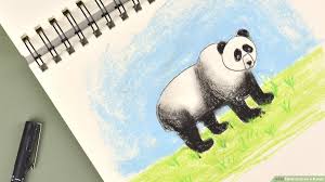 How To Draw A Panda With Pictures Wikihow