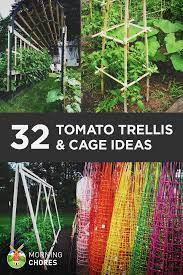 32 Free Diy Tomato Trellis Cage Ideas To Grow Your Tomato Big And Healthy Tomato Trellis Diy Garden Trellis Diy Trellis