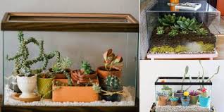 If you also want to breed discus fish at home, you have to be really patient. Top 7 Fish Tank Planter And Terrarium Ideas Organize With Sandy