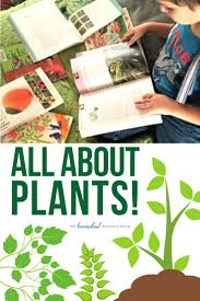A Fun Hands On Introduction To Plants For Kids Elementary Stem Activities Planting For Kids Teaching Science Elementary