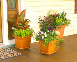 Plant them in pots and you can give each of your herbs its ideal conditions, all within a small footprint. 59 Front Door Flower And Plant Ideas Home Stratosphere