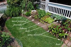 Front Yard Vegetable Garden One Month Update Vegetable Garden Design Backyard Vegetable Gardens Front Yard Garden