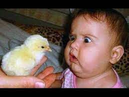 Oil again to you are a silly baby. Try Not To Laugh Funny Babies Compilation 2017 Youtube
