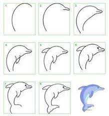 Stappenplan Hoe Teken Ik Een Dolfijn Google Zoeken Cartoon Drawings Easy Drawings Easy Drawings For Kids