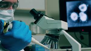 Die formel 1 ist die königsklasse des automobilsports. Iran State News Agency Says New Virus Has Killed 2 Citizens