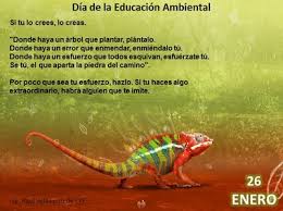 Acusan al ministerio de medio ambiente de omisión, cuestionan la autorización sin control de la exportación de madera y reivindican que se retomen los fondos ambientales paralizados. Imagenes Del Dia Mundial De La Educacion Ambiental Informacion