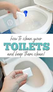 Scrub with a toilet brush, spreading the liquid all around the bowl as you go. How To Clean A Toilet And Keep It Clean Mom 4 Real
