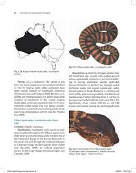 australias dangerous snakes identification biology and