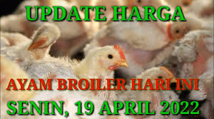 Harga ayam potong kami dapatkan dari beberapa sumber terpercaya yang kami rangkum semaksimal mungkin. Yl6j5mripeqeem