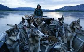 Can someone tell me the basics of what to do after you get off the only problem with lawless islands is that you can't deploy a bed to spawn in to, which is how do i know is the island is lawless or not while looking at the map? Life Below Zero Is Getting A Spin Off Plus Two New Seasons Reality Blurred