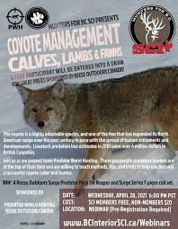 Past Webinars & Online Learning