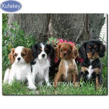 Check spelling or type a new query. Diamond Embroidery Cavalier King Charles Spaniel Diy 5d Diamond Painting Full Square Round Diamond Mosaic Animal Pet 3d Picture Buy At The Price Of 2 38 In Aliexpress Com Imall Com
