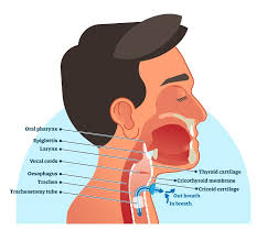 Image result for Tracheostomy