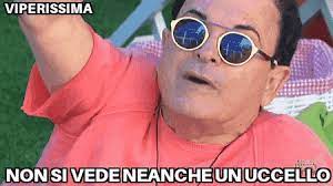 Un piccolo gattino si sporge dalla tazza e ti augura il buongiorno. Se Cristiano Malgioglio Commentasse In Gif La Vita Di Ognuno Di Noi Archivio Biccy It