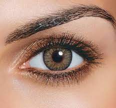 Freshlook One Day No Prescription Colored Contact Lenses Contact Lenses Tips Halloween Contact Lenses Contact Lenses Colored
