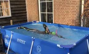 pin by mike hayes on backyard diy swimming pool endless pool pool