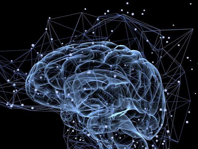 Distinctive Voices—How the Brain Invents the Mind – NAS