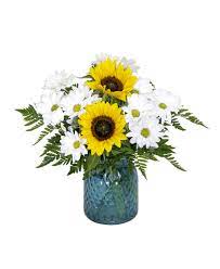 44 likes · 45 were here. Lancaster North Flower Shop At 873 N Queen St Lancaster Pa Royer S Flowers And Gifts Flowers Plants And Gifts With Same Day Delivery For All Occasions