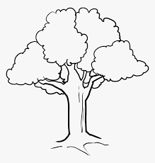 Christmas editable stroke icon set a set of editable stroke thin line icons. Png Clipart Clip Art Pictures Of Tree In Black And White