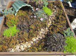 A wooden box is a great place to create a fairy garden. How To Create A Fairy Garden Your Step By Step Guide Install It Direct