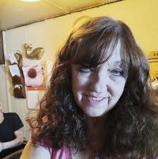 How busy is the ER in Cheboygan?