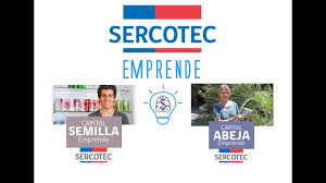 En este post hablaremos del capital abeja de los beneficios, requisitos, proceso de postulación y lo. Dima Sercotec Capital Semilla Y Abeja Youtube