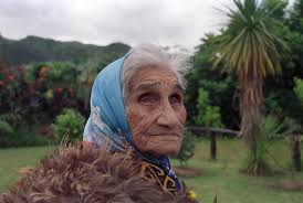 Far North news in brief: Student's career dreams take off; council counts  vandalism costs and surgery success