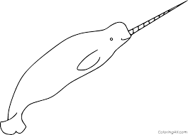 A narwhal, the unicorn of the sea is a 16′ whale with a large tusk that's actually a tooth. Narwhal Coloring Pages Coloringall