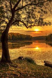 destination here landschaftsbilder naturbilder landschaftsbau