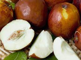 We did not find results for: Asian Varieties California Tropical Fruit Tree Nursery