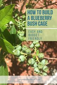 When used as a natural dye, blueberries create the most beautiful range of summery blues and purples, like the color. How To Build A Simple Diy Blueberry Bush Cage Everyday Old House