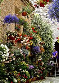Spello Province Of Perugia Umbria Italy Gartenprodukte Umbrien Italien Schone Blumen
