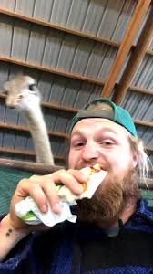 @DandyVanskike's video Tweet