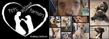 Adopt a loving pet from pets without partners that is in need of a permanent loving home. Welcome