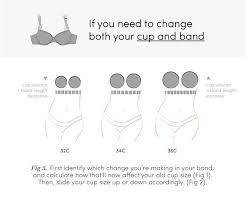 Sister Sizes The Bra Secret Every Woman Should Know Bra