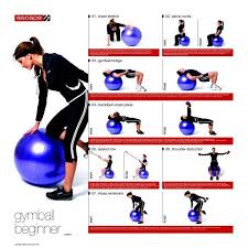 The exercise ball is used by many trainers to strengthen your muscles and to build strength. Paid Link Yoga Ball Flexibility Yogaexerciseballs In 2021 Ball Exercises Beginner Workout Exercise