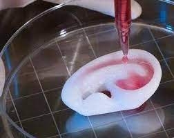 Novel Material Celleron Could Revolutionize 3d Bioprinting For Regenerative Medicine